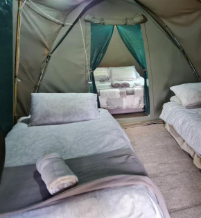 Karoo Gariep Tented Camp